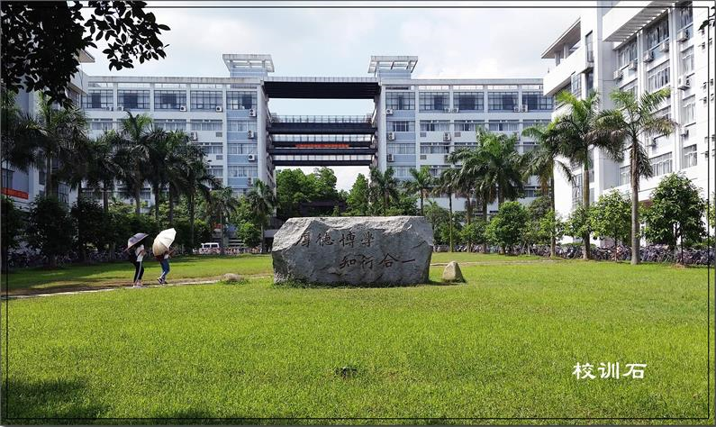 玉林师范学院——副理事长单位