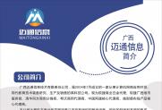 广西迈通信息技术有限责任公司——理事单位